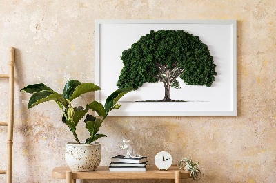 Framed moss wall art Tree on a white background