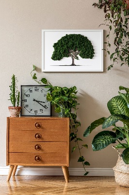 Framed moss wall art Tree on a white background