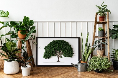 Framed moss wall art Tree on a white background