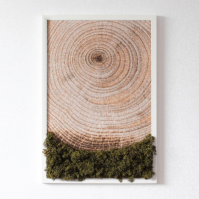 Moss wall art Wood grain