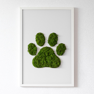 Living moss wall art Paw print