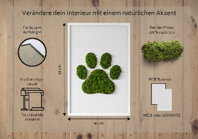 Living moss wall art Paw print