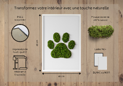 Living moss wall art Paw print