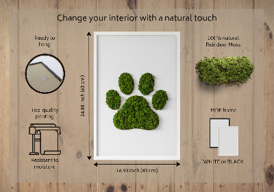 Living moss wall art Paw print