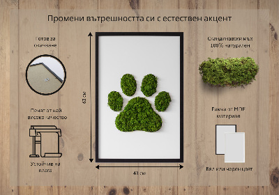 Living moss wall art Paw print