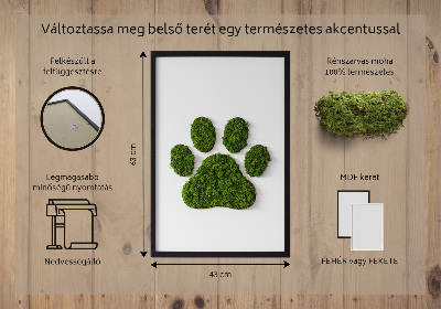 Living moss wall art Paw print