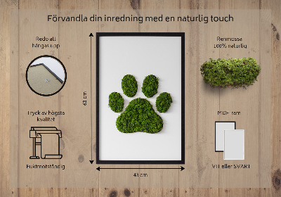 Living moss wall art Paw print