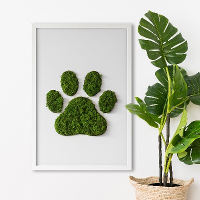 Living moss wall art Paw print