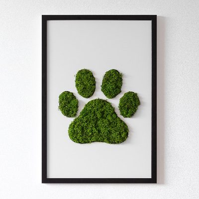 Living moss wall art Paw print