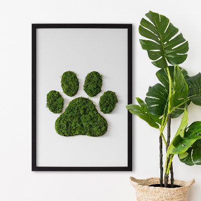 Living moss wall art Paw print