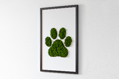 Living moss wall art Paw print