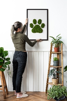 Living moss wall art Paw print