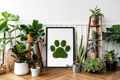 Living moss wall art Paw print