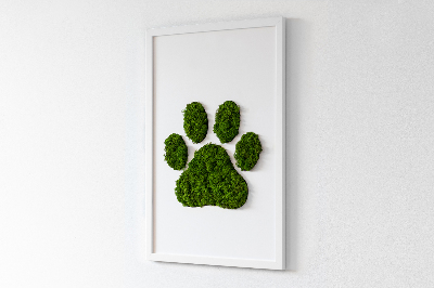 Living moss wall art Paw print