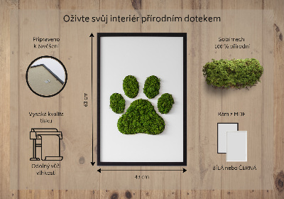 Living moss wall art Paw print