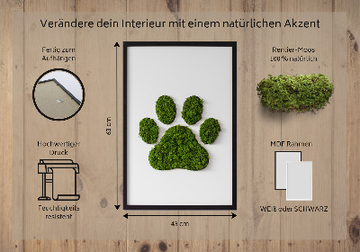 Living moss wall art Paw print