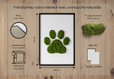 Living moss wall art Paw print