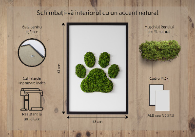 Living moss wall art Paw print