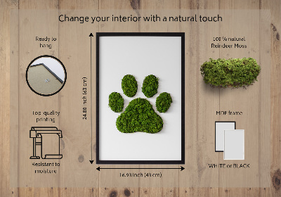 Living moss wall art Paw print