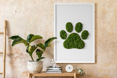 Living moss wall art Paw print