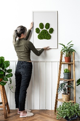 Living moss wall art Paw print