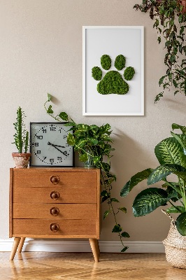 Living moss wall art Paw print