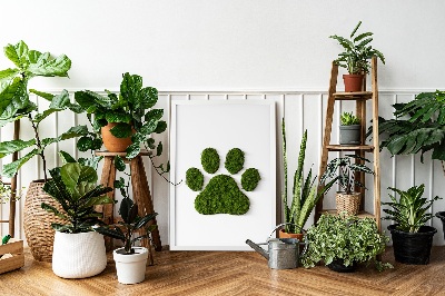 Living moss wall art Paw print