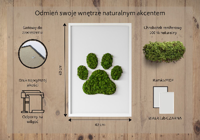 Living moss wall art Paw print