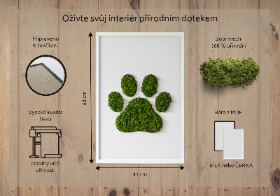 Living moss wall art Paw print