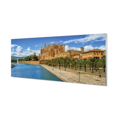 Glass print Spain palm of the gothic cathedral