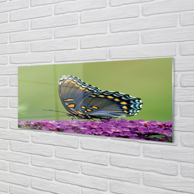 Glass print Colorful butterfly on flowers