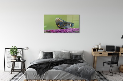 Glass print Colorful butterfly on flowers