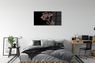 Glass print Brown dog