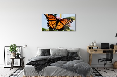 Glass print Butterfly color