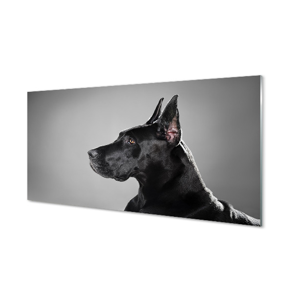 Glass print Black dog