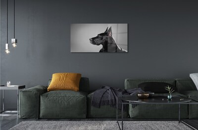 Glass print Black dog