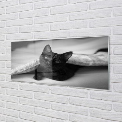 Glass print Cat under cover