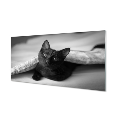 Glass print Cat under cover