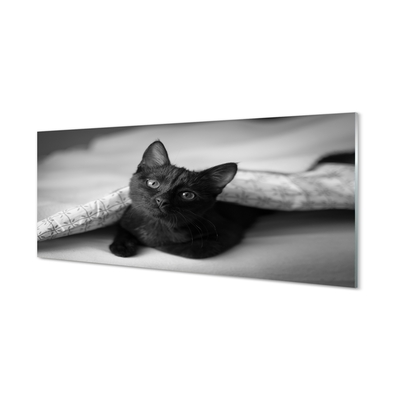 Glass print Cat under cover