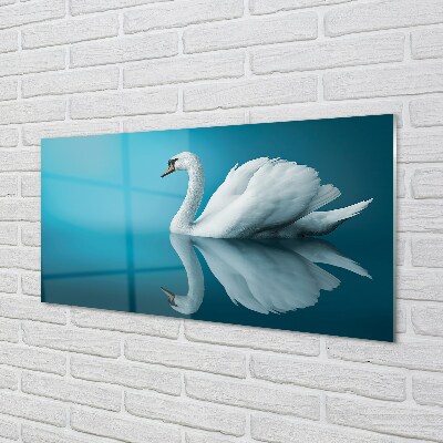 Glass print Swan in the water