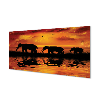 Glass print Westlake elephants