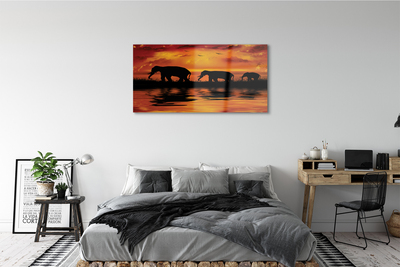 Glass print Westlake elephants
