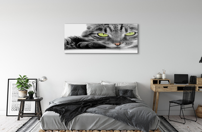 Glass print Gray-black cat