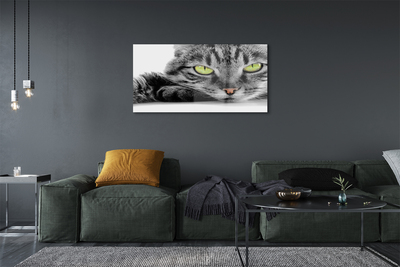 Glass print Gray-black cat