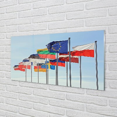 Glass print Many flags