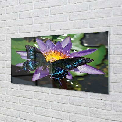Glass print Butterfly flower