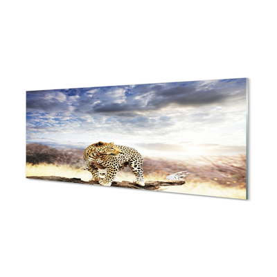 Glass print Panther clouds