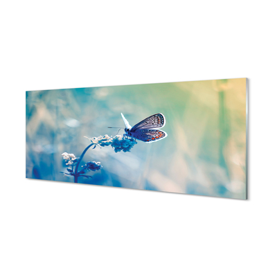 Glass print Butterfly color