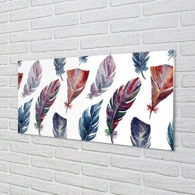 Glass print Colored feathers