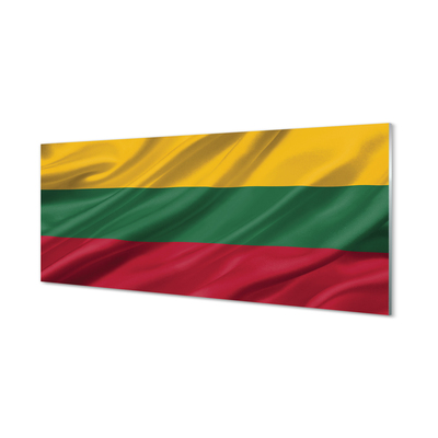 Glass print Flag of lithuania